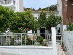 Nina’s Garden